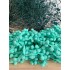 Mint Şerit Ponpon