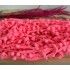 Neon Pembe Çiçeği Şerit Ponpon